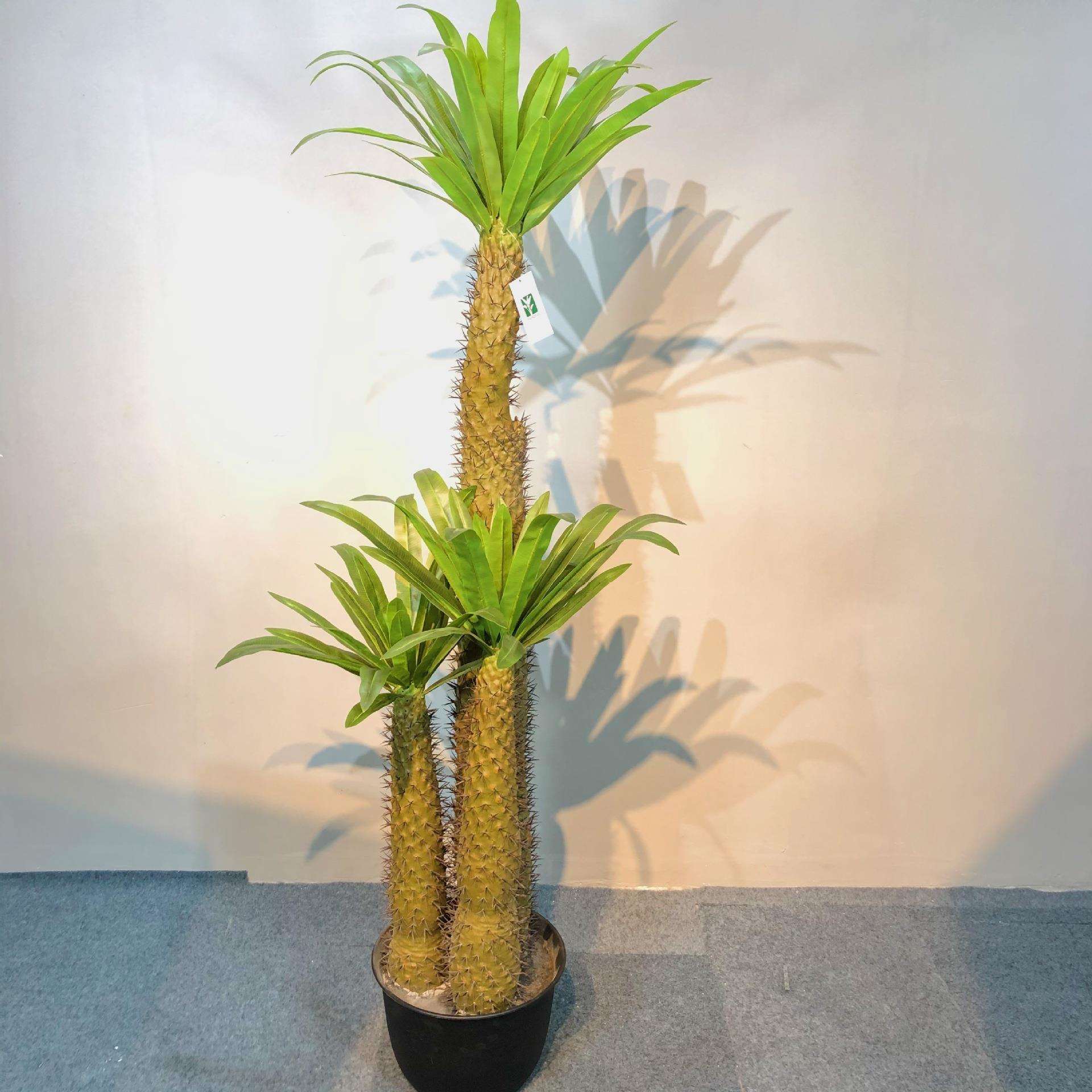 仿真霸王树盆栽人造假树盆景绿植仙人掌北欧家居装饰厂家直销
