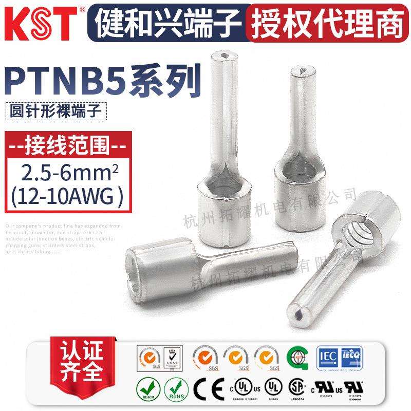 KST健和兴 PTNB5-10 针形裸端子PTNB5-13插针端头UL REACH CE认证图片