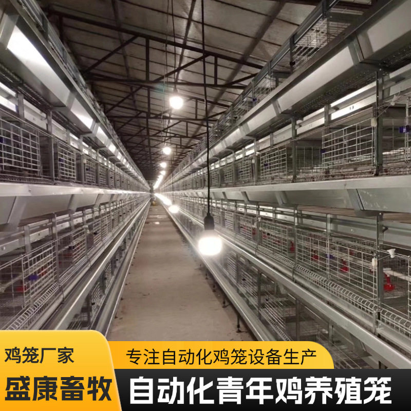 自动化多层叠青年鸡笼子镀锌鸡笼子养殖场全自动花鸡笼喂料鸡舍