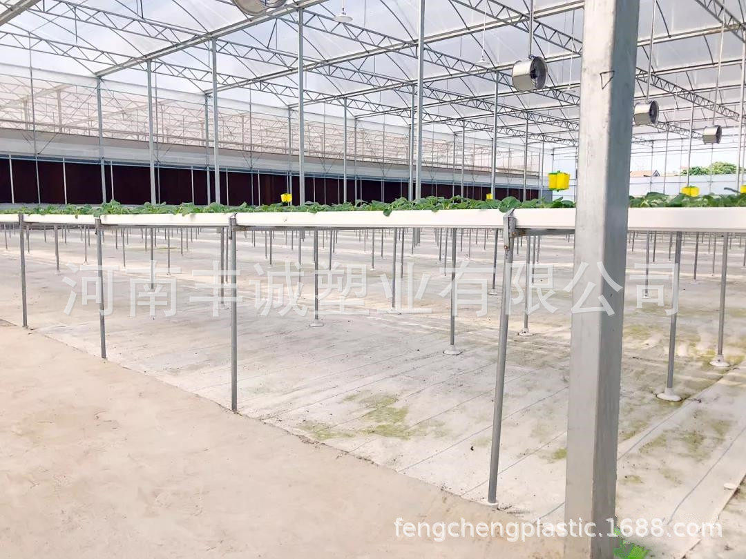 温室大棚用白色反光地布农业蔬菜水果无土栽培地布防草布保湿