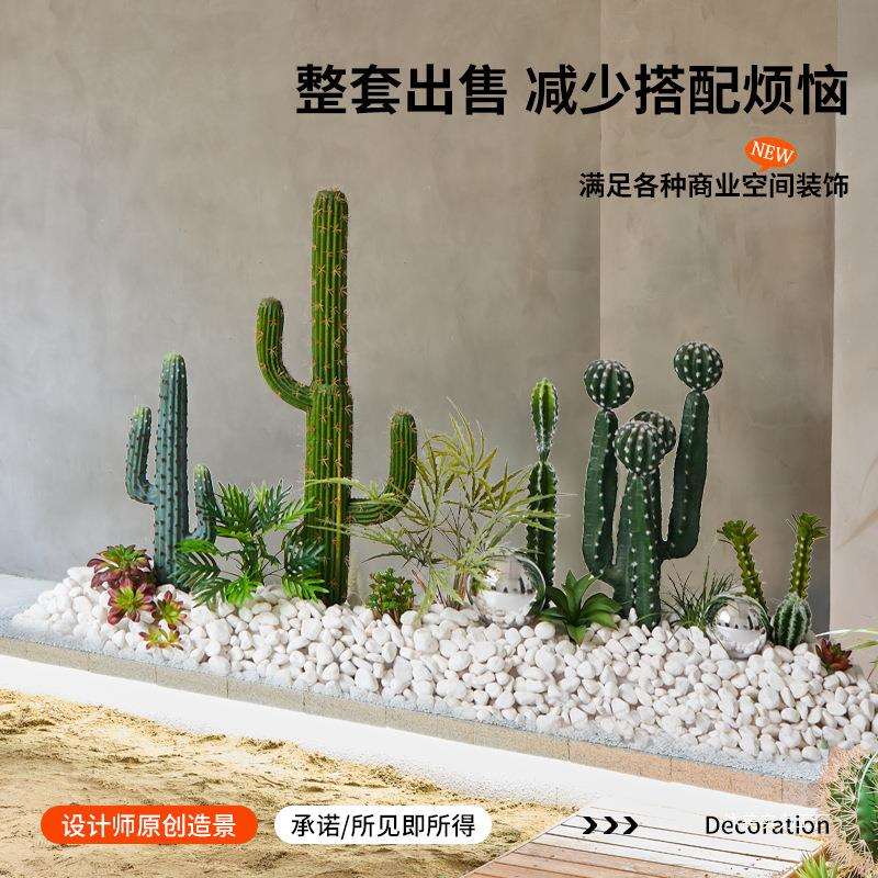 仙人掌造景球形热带植物盆栽橱窗楼梯下室内大型景观装饰摆件