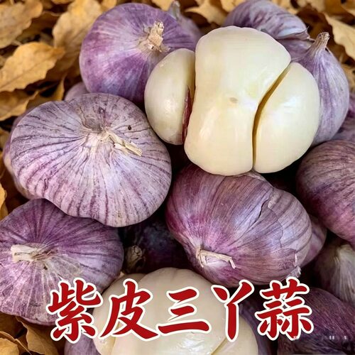晒干大理三丫蒜云南紫皮大蒜三瓣蒜湿蒜头独头蒜同味农家自种疏菜