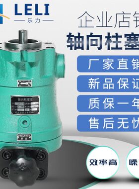 启东乐力牌10SCY14-1D直插式轴向柱塞泵电机组泵头