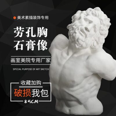 石膏材质石膏胸像劳孔石膏人头模型美术用品素描教具雕塑摆件写生