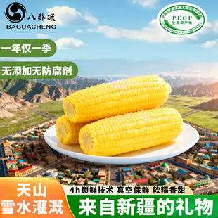 八卦城新疆糯玉米1.9kg整箱发