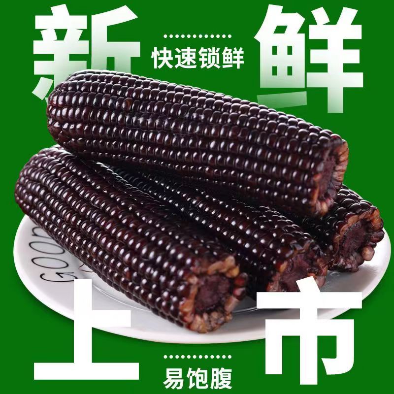 东北黑黄白糯玉米鲜食真空包装10支加热即食代餐粗粮当季黏粘苞米