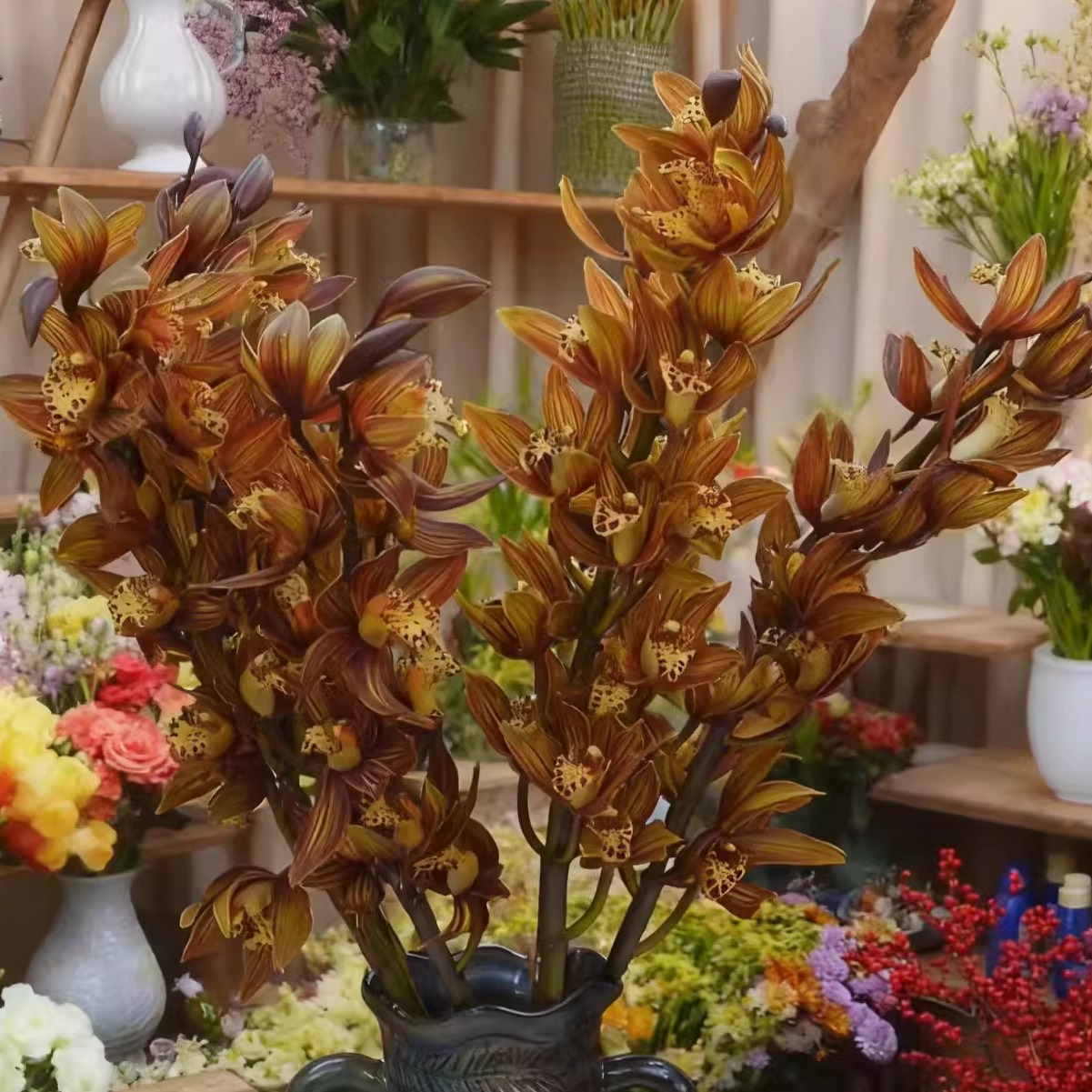 【秋檀-3支】大花惠兰切花一单包邮两单升级快递