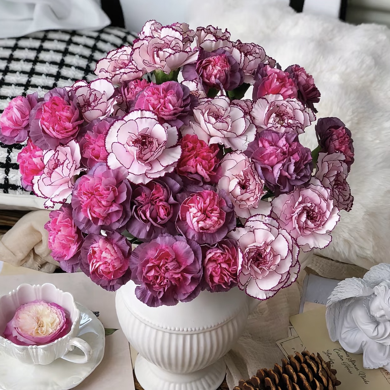 双11提前购【康乃馨-野马10支+紫精灵10支】一单包邮两单升级快递