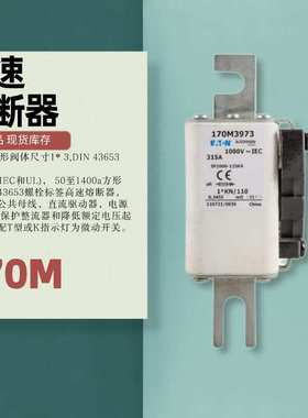 170M3973 bussmann通讯行业 高速熔断器1000V 1400A T型指示灯