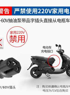 油水两用抽水泵抽油泵家用12V24V48V60V220V小型水泵插电直流油泵