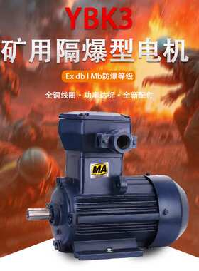 新大力YBK3矿用防爆电机MA煤安证铸铁钢板机座380/660/1140V隔爆