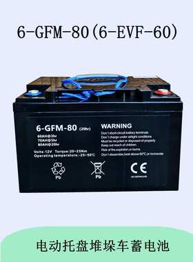 6EVF60蓄电池托盘搬运车12V75A堆垛车6GFM80小金刚地牛叉车电瓶
