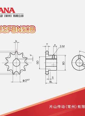 SUSFBN50B 齿数：21~26, 28, 30, 32, 35 不锈钢成品孔链轮