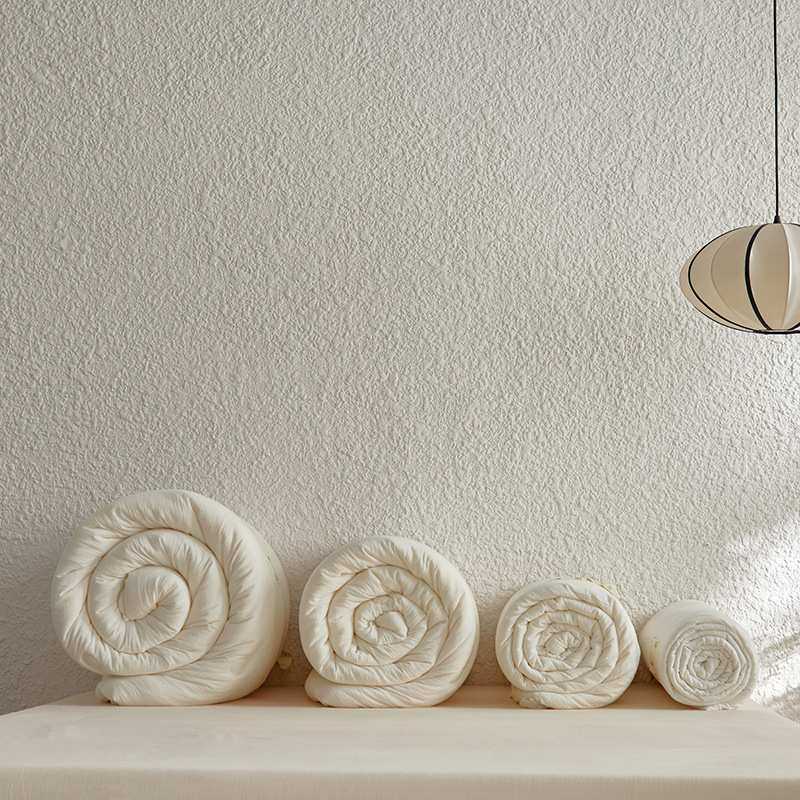 新品秋冬A类全棉雾感纱蚕丝蛋白春秋被软糯贴身冬被防螨抗菌被芯,3C数码配件,USB灯,淘宝优惠券,粉丝福利购,淘宝优惠卷