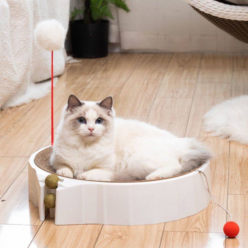宠物训练猫抓板磨爪器猫窝猫爪板窝屑猫抓盆立式猫玩具猫咪用品,宠物/宠物食品及用品,猫窝/屋/帐篷/沙发,淘宝优惠券,粉丝福利购,淘宝优惠卷
