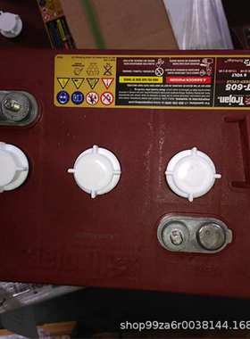 邱健蓄电池T-105 T-1275 L16G-AC J305P L16H洗地机/杠杆式升降机