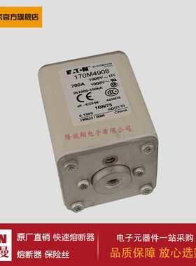 熔断器170M4924 170M4925 170M4926 170M4927 170M4928 170M4929