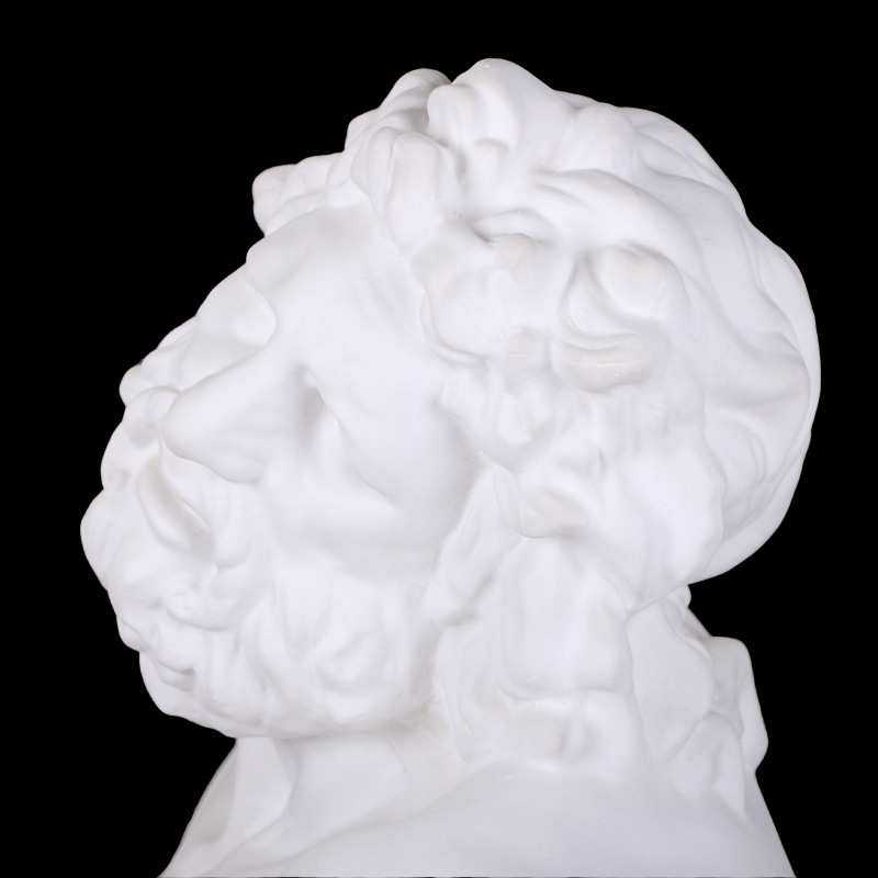 勃兰特劳孔胸像石膏头像石膏教具石膏像拉奥孔石膏头像雕塑摆件,鲜花速递/花卉仿真/绿植园艺,其它园艺用品,淘宝优惠券,粉丝福利购,淘宝优惠卷