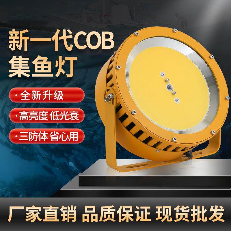 1000W大功率led聚鱼集鱼灯船用捕鱼灯户外防水海钓鱿鱼灯诱鱼灯具