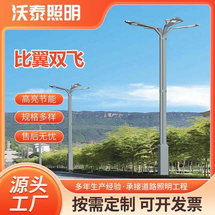 6-12米led多头路灯市政道路照明灯户外防水LED路灯景观灯