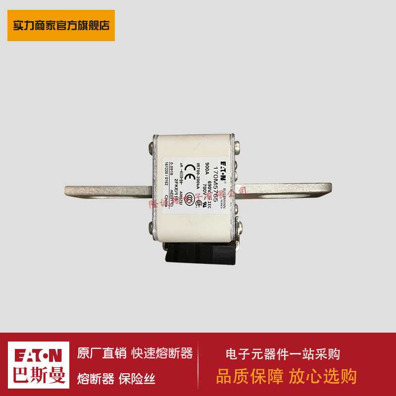 熔断器170M5761 170M5762 170M5763 170M5764 170M5765 170M5766图片