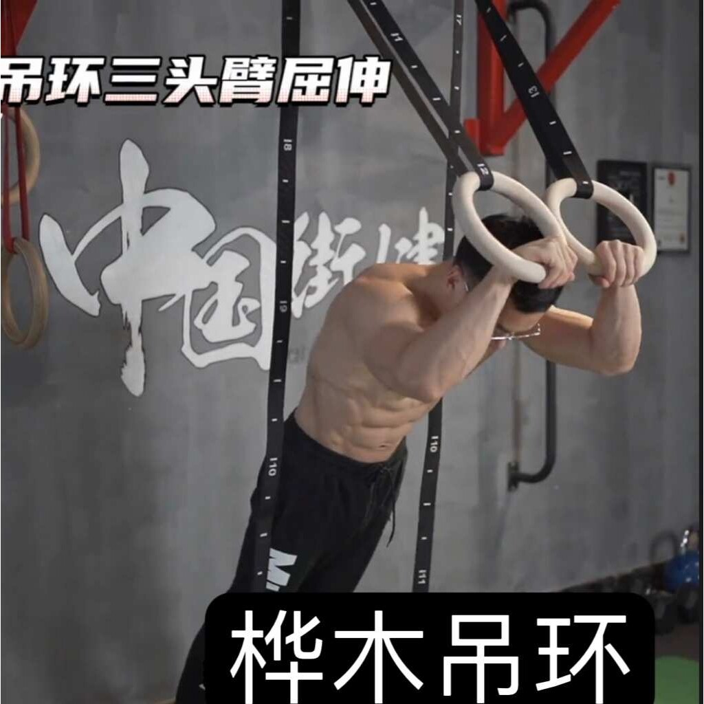 体操桦木街健吊环家用健身成人宿舍室内引体向上训练器材单杠拉伸