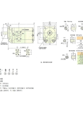 HCHC合肥长源双联齿轮泵CBKP80/40-BFPR CBKP80/32 CBKP63/63