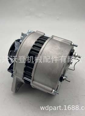 12v发电机 47020056 用于李斯特