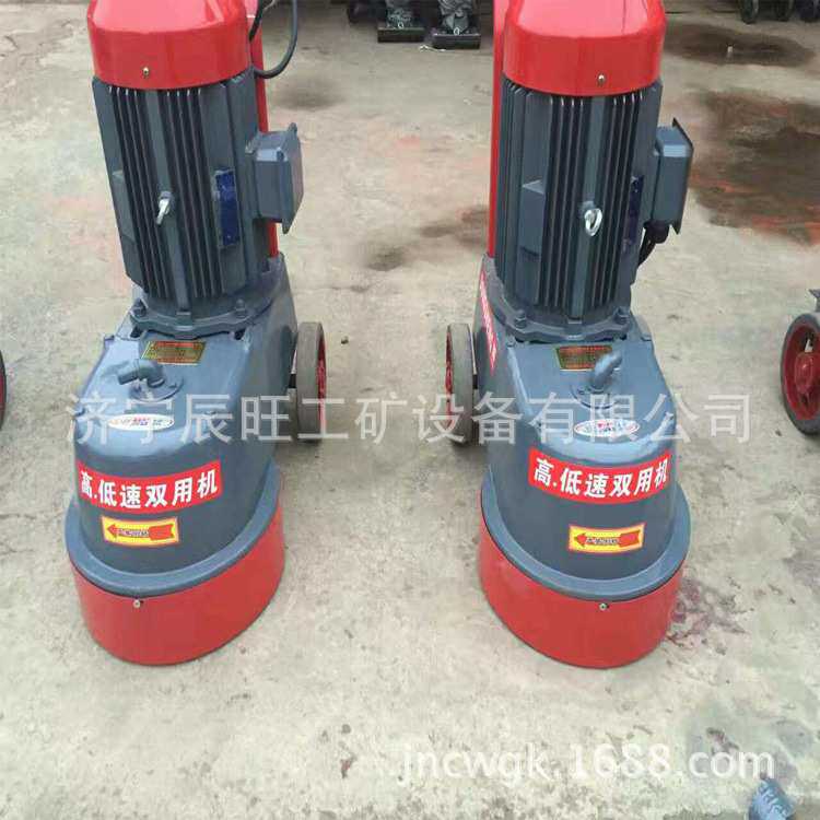 客厅水磨石机DMS250水磨石地板打磨机 大理石地砖磨光抛光机