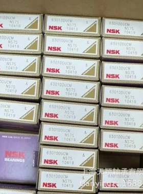 NSK轴承 NSK NF204 NF204W NF205 NF206 NF207 NF208W恩斯凯轴承