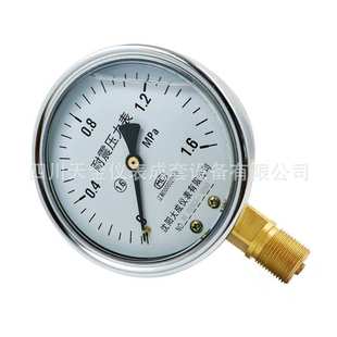 【大成】直供耐震压力表YN-100真空水压表液压抗震充油硅油压力表