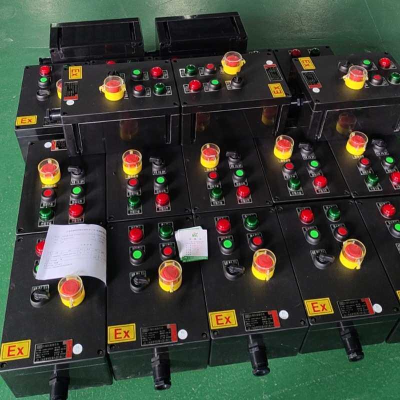 ZXF8030防爆防腐主令控制器 壁挂式2纽1表1开关ZXF8030-A2B1K1G