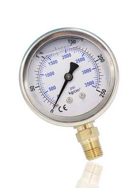 供不锈钢充油耐振压力表径向立装304竖装YN63 250KG 3500PSI厂销