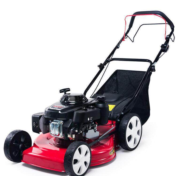 福建四冲程汽油草坪机割草机除草机手推式草坪修剪机剪草机厂家