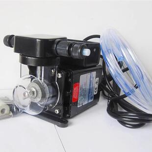 游泳池儿童消毒加药泵计量泵原装蓝白投药泵C-660P等水泵配件设备