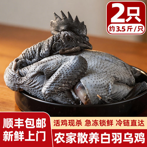 乌鸡新鲜现杀净膛急冻煲汤送礼