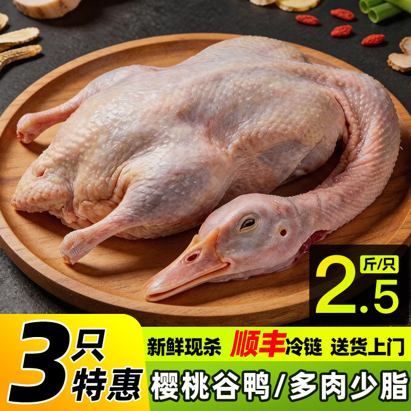 樱桃谷鸭2.5斤整只新鲜无翅爪现杀净膛冷冻白条鸭整鸭肉商用批发