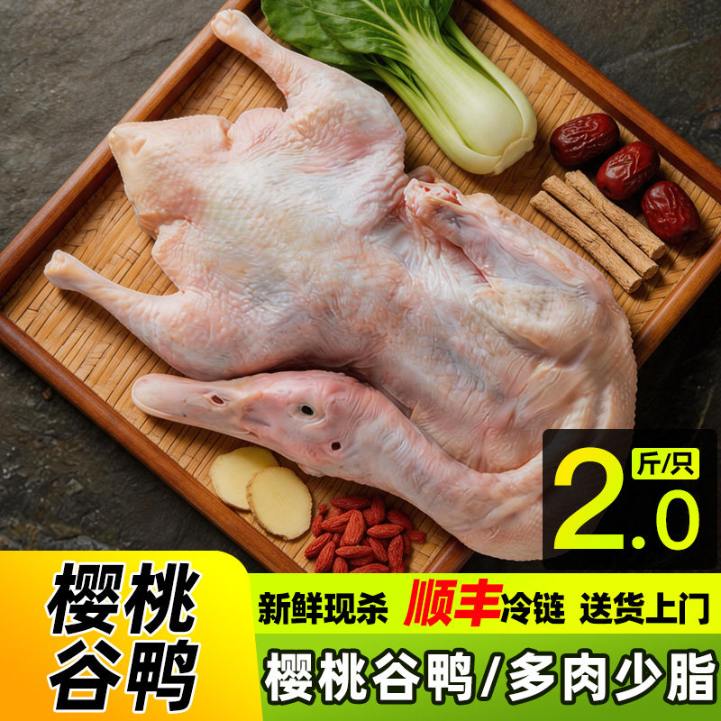 樱桃谷鸭2斤整只净膛少油无翅爪白条鸭白羽整鸭肉鸭冷冻新鲜现杀