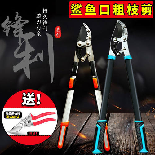 树枝专用剪刀园艺大剪刀果树修枝修剪树枝园林剪刀粗枝剪修枝剪