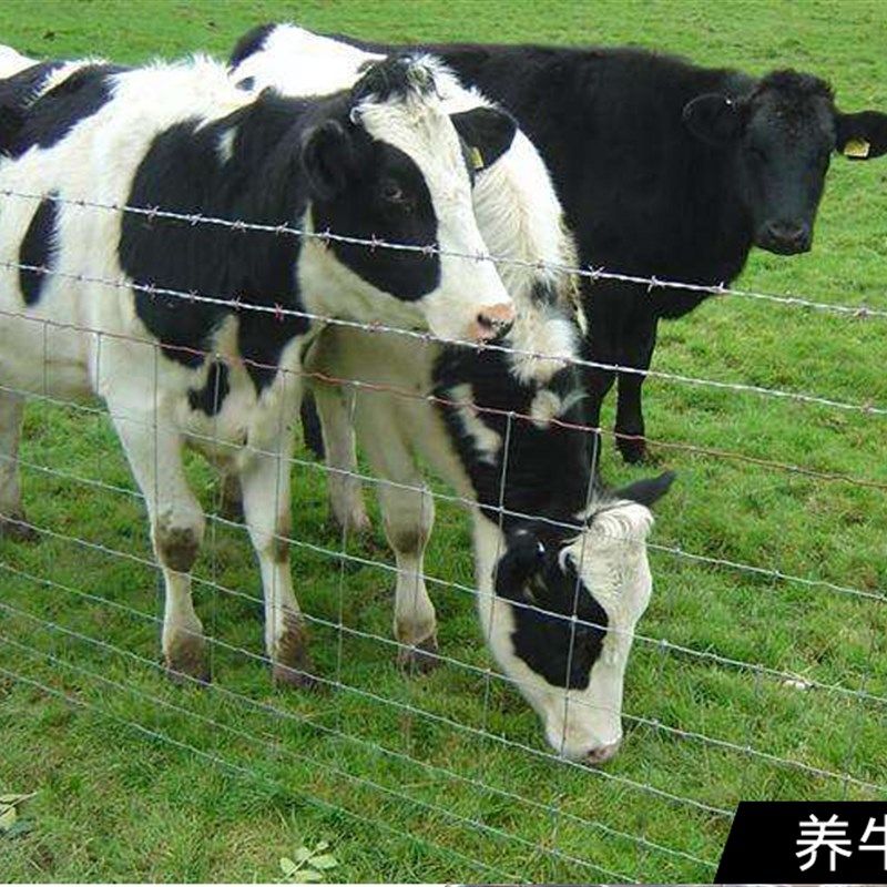 镀锌防锈铁丝网养殖网围栏防护网护栏网牛栏网养牛养羊果园围栏网