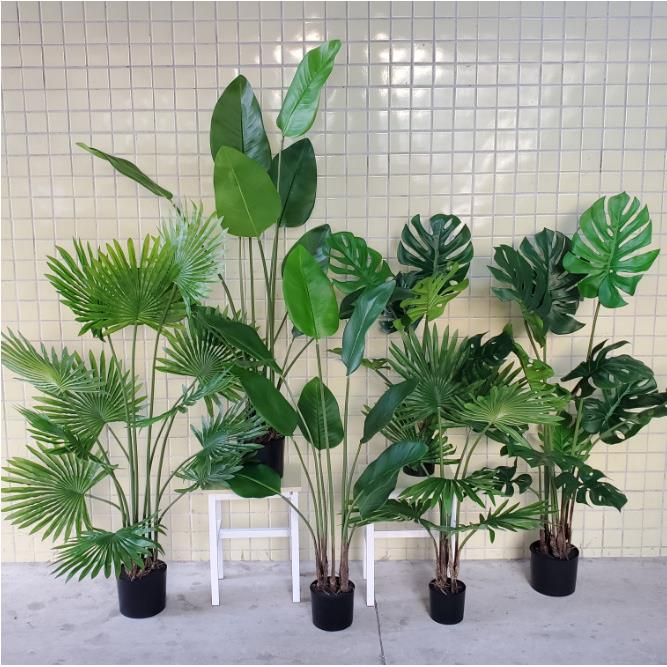 玫蕊仿真绿植造景仿真树散尾葵室内装饰植物手感龟背叶子盆栽