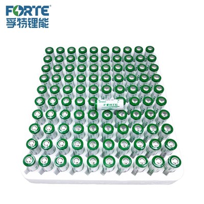 FORTE孚特ER18505智能水表暖气热力表流量计烟雾报警器3.6V锂电池