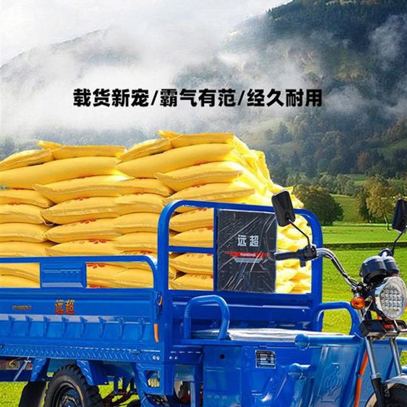 全新国标电动三轮车载重王拉货三轮车快递车新款家用电瓶车农用车