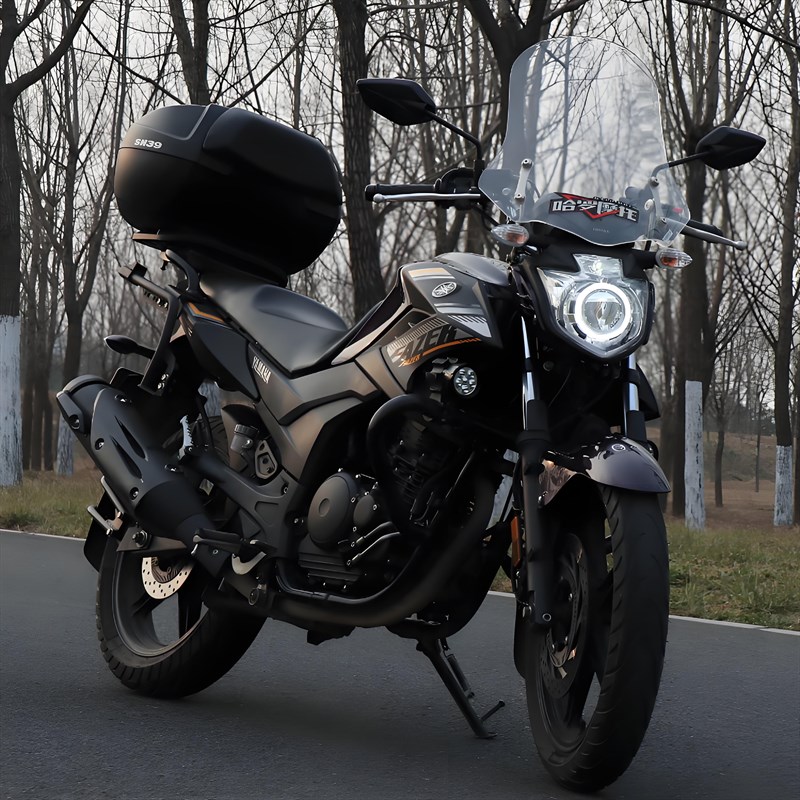 新款电喷雅马哈飞致250CC街车天剑250男士旅行代步覆古巡航摩托车