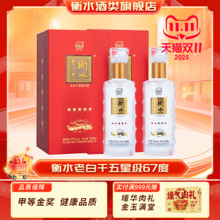 衡水老白干五星级67度500ml纯粮食酒高度白酒节日送礼 两盒装