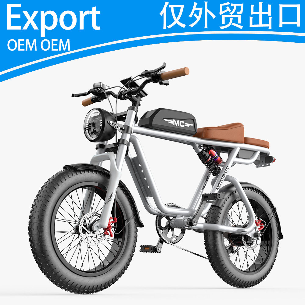 20寸48V00W电动自行车助力车锂电哈雷油刹出口外贸载重王外贸雪