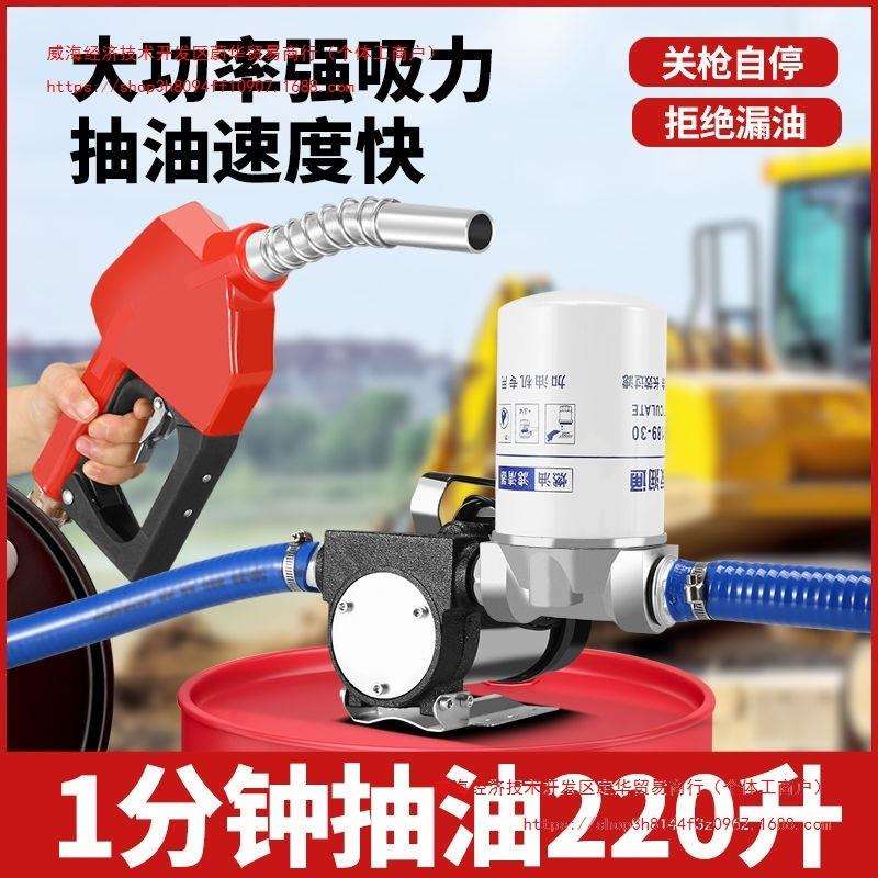 电动抽油泵滤芯柴油泵12V24V通用220V加油机启停自吸泵抽油