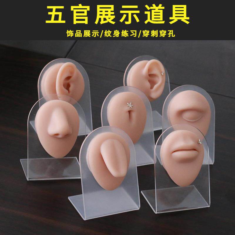 【五官模型七件套带支架】眼睛鼻子嘴巴舌头肚脐耳朵饰品科展示架