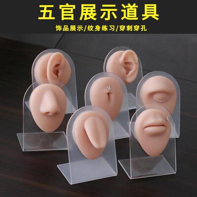 【五官模型七件套带支架】眼睛鼻子嘴巴舌头肚脐耳朵饰品科展示架