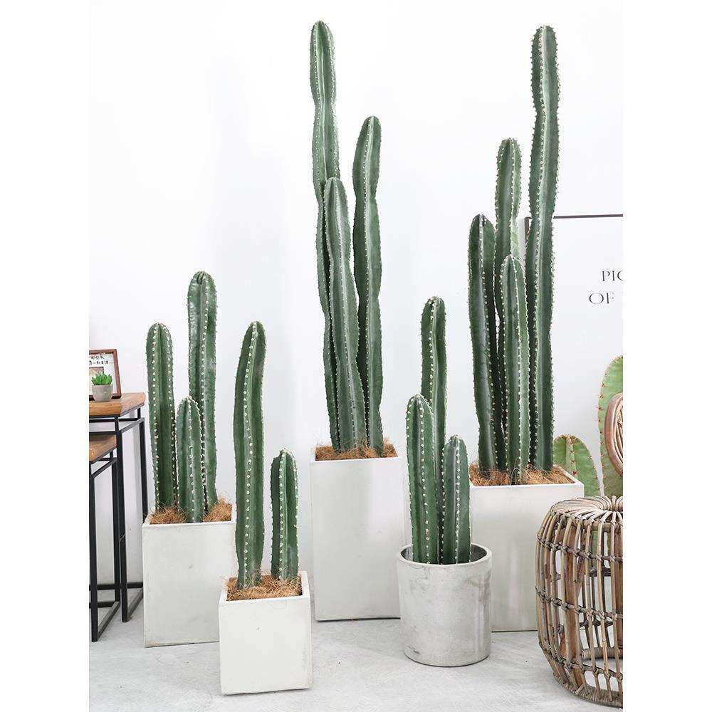 北欧仙人柱量天尺盆栽假绿植仙人掌热带植物店铺橱窗装饰摆件